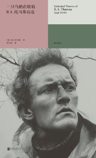《一只乌鸫在歌唱：R.S.托马斯诗选》（epub）