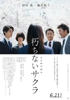 不朽的樱花（2024） 日本 电影