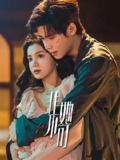 非她不可 [2024]【26集全】