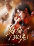 【短剧】躁郁玫瑰 （71集全集）朱彦恺＆杨静怡