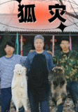 【短剧】狐灾（25集全集）