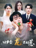 【短剧】回乡金龙不好惹（74集全集）薛海威&徐海文