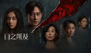 目之所及 (2025) 更至16集完结 [4K][悬疑][罗晋 王子文 余男 陈瑾][百度网盘]