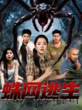 【短剧】蛛网逃生 (60集) 张钰雯