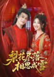 【短剧】梨花尽落相思成雪（81集全集）宁胭&朱城玮