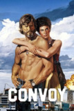 大车队 (1978) 4K REMUX DV&HDR 特效字幕[<strong>百度</strong>网盘]