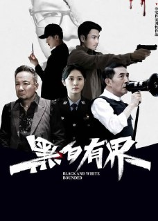黑白有界 (2024) 4K EDR 高码率[百度网盘]