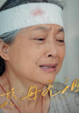 【短剧】慈母无泪（30集全集）