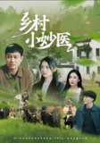 【短剧】乡村小妙医（60集全集）