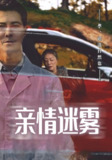 【短剧】亲情迷雾（30集全集）