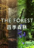 四季森林 第一季 The Forest Season 1 (2017)