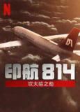 印航814：坎大哈之劫 IC 814: The Kandahar Hijack (2024)