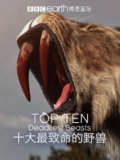 十大致命的捕食者 Top Ten Deadliest Beasts (2018)