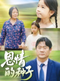 【短剧】恩情的种子（29集全集）