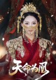 【短剧】天命为凰（69）徐兰迪&徐江帅