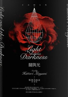 【电子书】《暗与光》（epub）