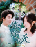 【短剧】遗落的爱（56集全集）李智颖&崔旭阳