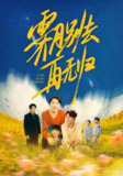 【短剧】霁月别去再无归（65集全集）