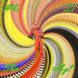David Byrne Who Is The Sky (2025) FLAC 24bit 96kHz qobuz
