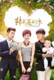 转身遇到你(2016)4K S01E01 - E08