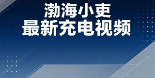 渤海小吏9.9期最新充电视频-女皇登天，酷吏脏手套戴与扔的使用说明书[百度网盘]