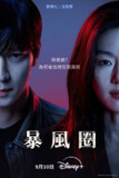韩剧《暴风圈》【全集 首更03】（2025）4K DV&HDR 内封简中