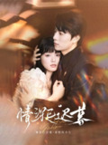 【短剧】情深已迟暮（50集全集）张磊＆苏祈安
