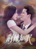 【短剧】荆棘知眠（81集全集）陈刚（陈柏乔）＆林琦婷