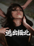【短剧】逃出缅北（62集全集）刘振安&汪芷萱