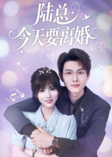 【短剧】陆总今天要离婚（81集全集）陈凯洲&李泫逸