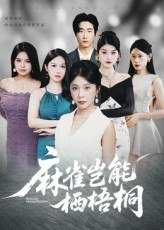 【短剧】麻雀岂能栖梧桐（31集全集）