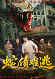 【短剧】蛇债难逃（50集全集）张平&李天枭