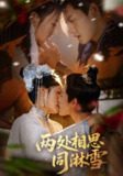 【短剧】两处相思同淋雪（60集全集）周彦哲＆申敬瑶