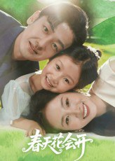 【短剧】春天花会开（82集全集）杨映真&向昊