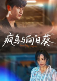 【短剧】疯鸟与向日葵（40集全集）韩叙&李虹艺