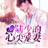 多人有声剧《独家蜜婚：陆少的心尖宠妻》主播：念小冬 2289集完