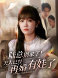 【短剧】陆总别求了夫人已经再婚有娃了（55集全集）赵美旋&于璟鑫