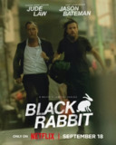 黑兔 Black Rabbit (2025) 裘德·洛 / 杰森·贝特曼 8集全，内嵌中英字幕 【网飞剧集】