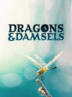 蜻蜓与豆娘的生存密码 Dragons & Damsels (2019)