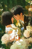 错心 4K臻彩MAX [HDR60帧率版][全24集]
