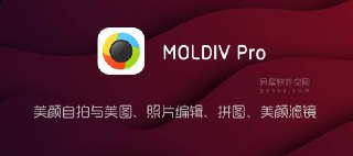 《MOLDIV Pro 图片拼接 v3.5.2 专业版.apk 》