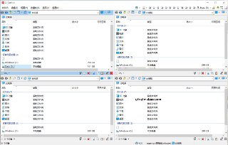 【软件】《Q_Dir 多窗口资源管理器_v11_96_x32_x64...7z 》