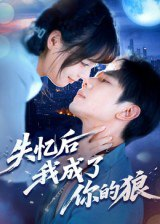 【短剧】失忆后我成了你的狼（70集全集）何连飞