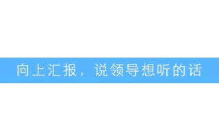 《向上汇报，说领导想听的话》