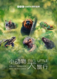 小动物 大旅行 第一季 Big Little Journeys Season 1 (2023)