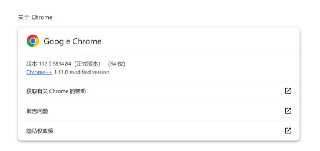 【软件】《Chrome 浏览器 132.0.6834.84 便携增强版_zd423.exe 》