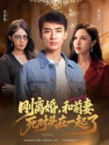 【短剧】刚离婚和前妻死对头在一起 (73集)