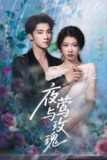 【短剧】夜莺与玫瑰（66集全集）陈名豪&何田田
