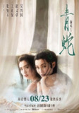 青蛇(1993)【1080p 原盘REMUX】【国粤双语】【内封简繁字幕】【王祖贤/张曼玉】