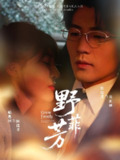 【短剧】野芳菲（60集全集）喻嘉琳＆杜培源